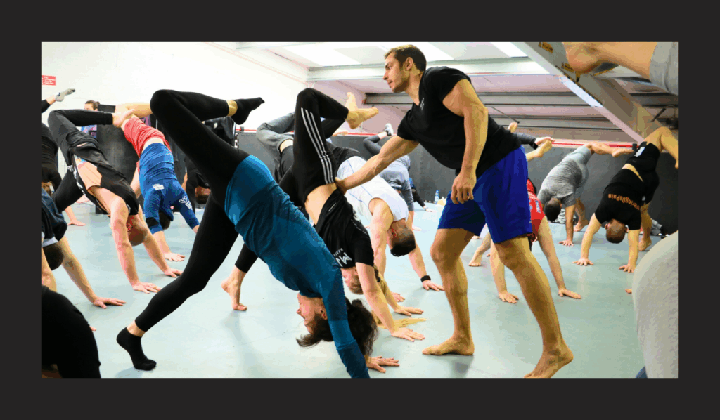 Animal Flow Germany Workshops, Animal Flow Deutschland
