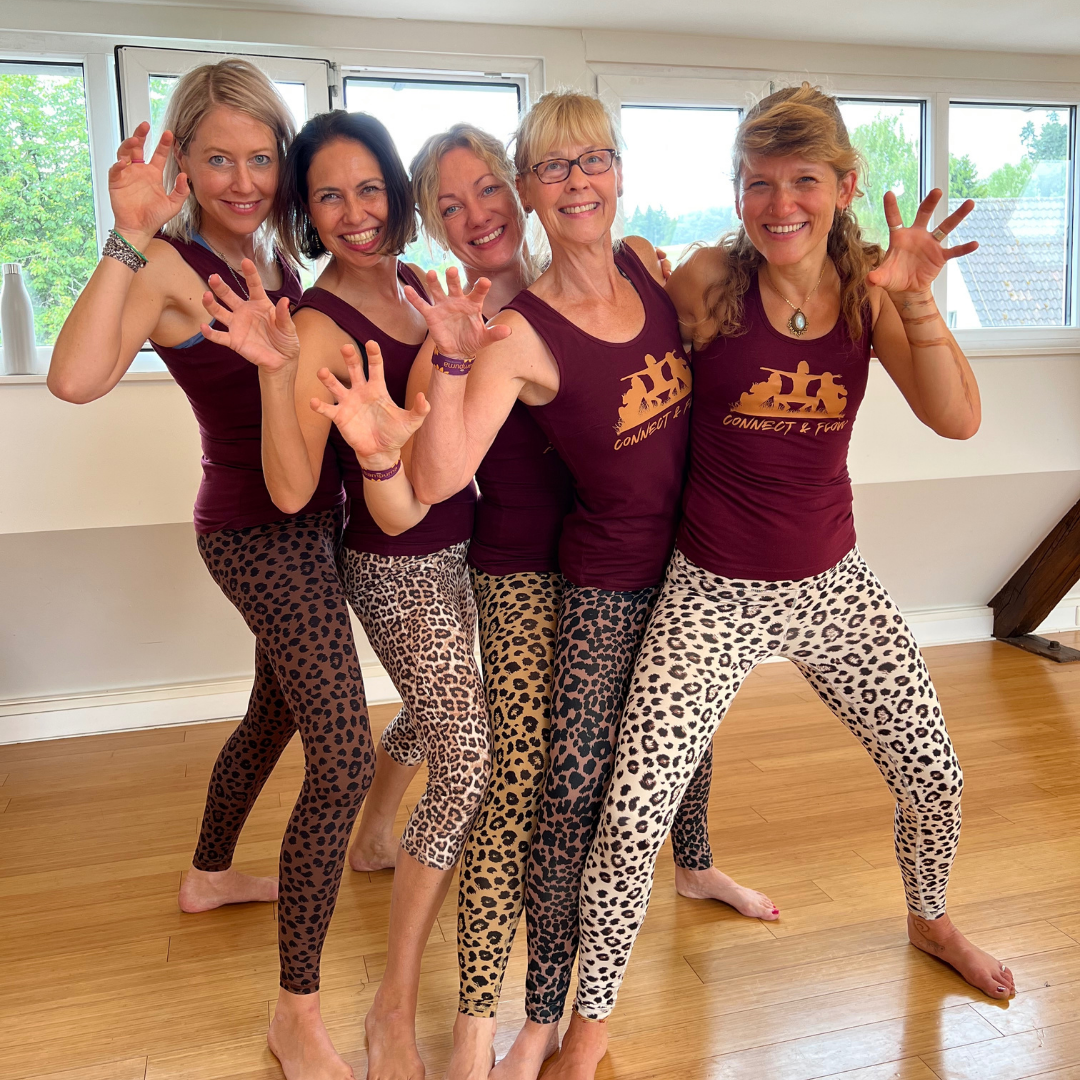 Connect and Flow leo Power