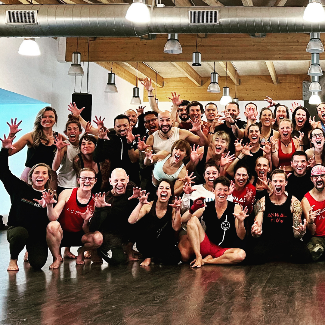 Animal Flow Level 2 Workshop Barcelona 1, Animal Flow Germany